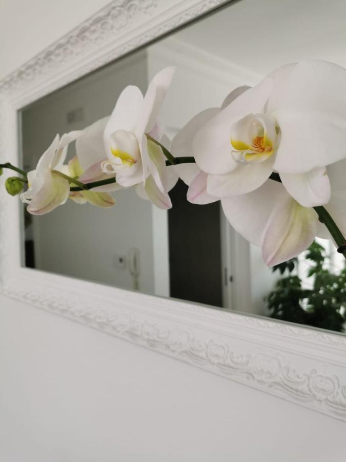 B&B Le Torri Santeramo in Colle Ngoại thất bức ảnh