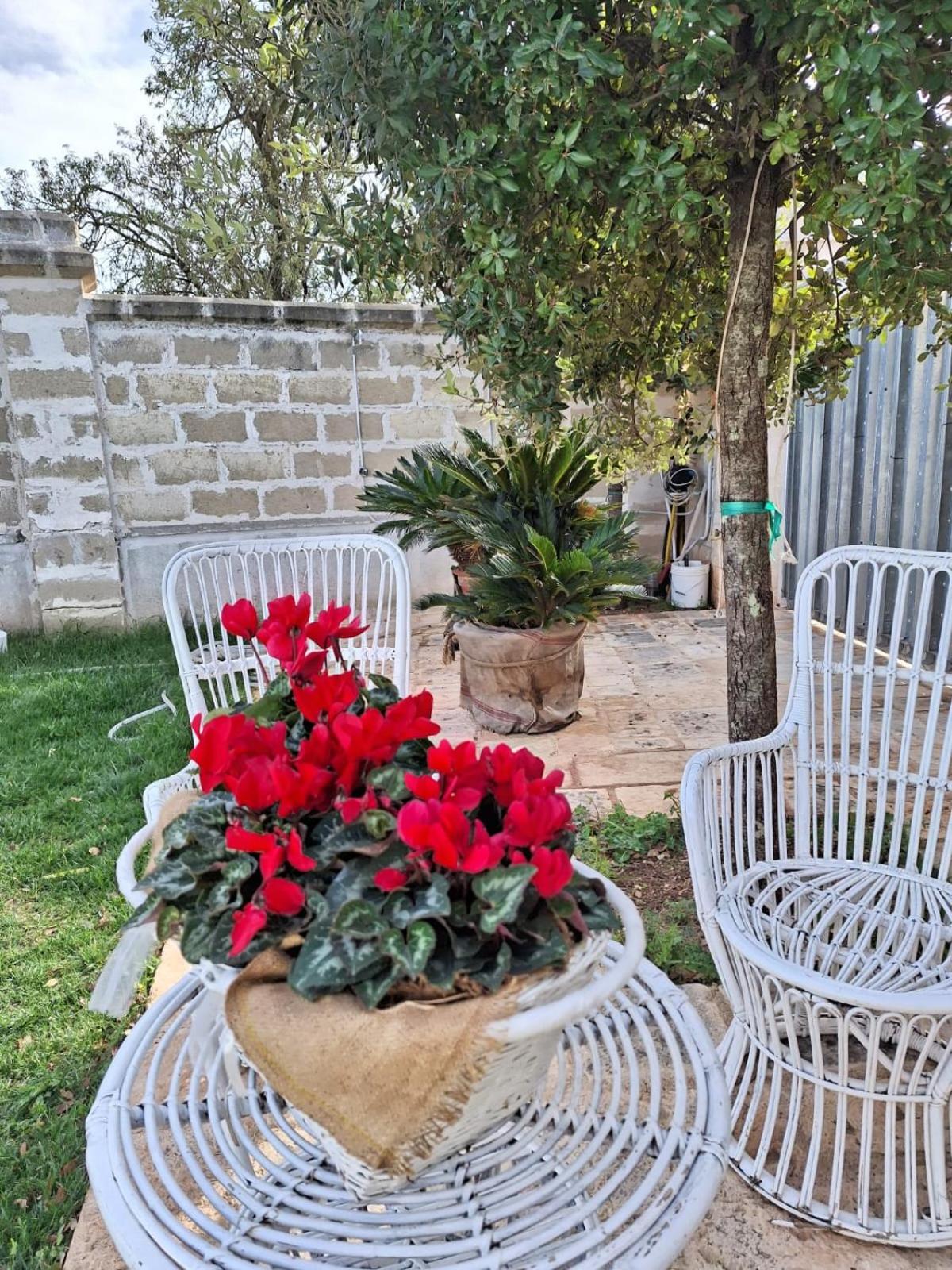 B&B Le Torri Santeramo in Colle Ngoại thất bức ảnh