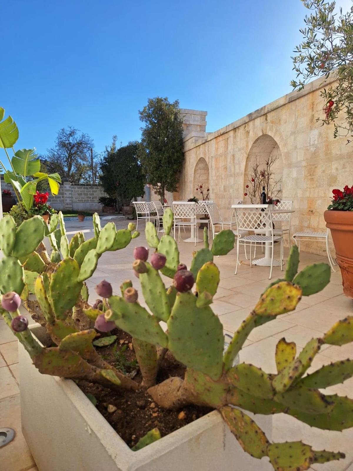 B&B Le Torri Santeramo in Colle Ngoại thất bức ảnh