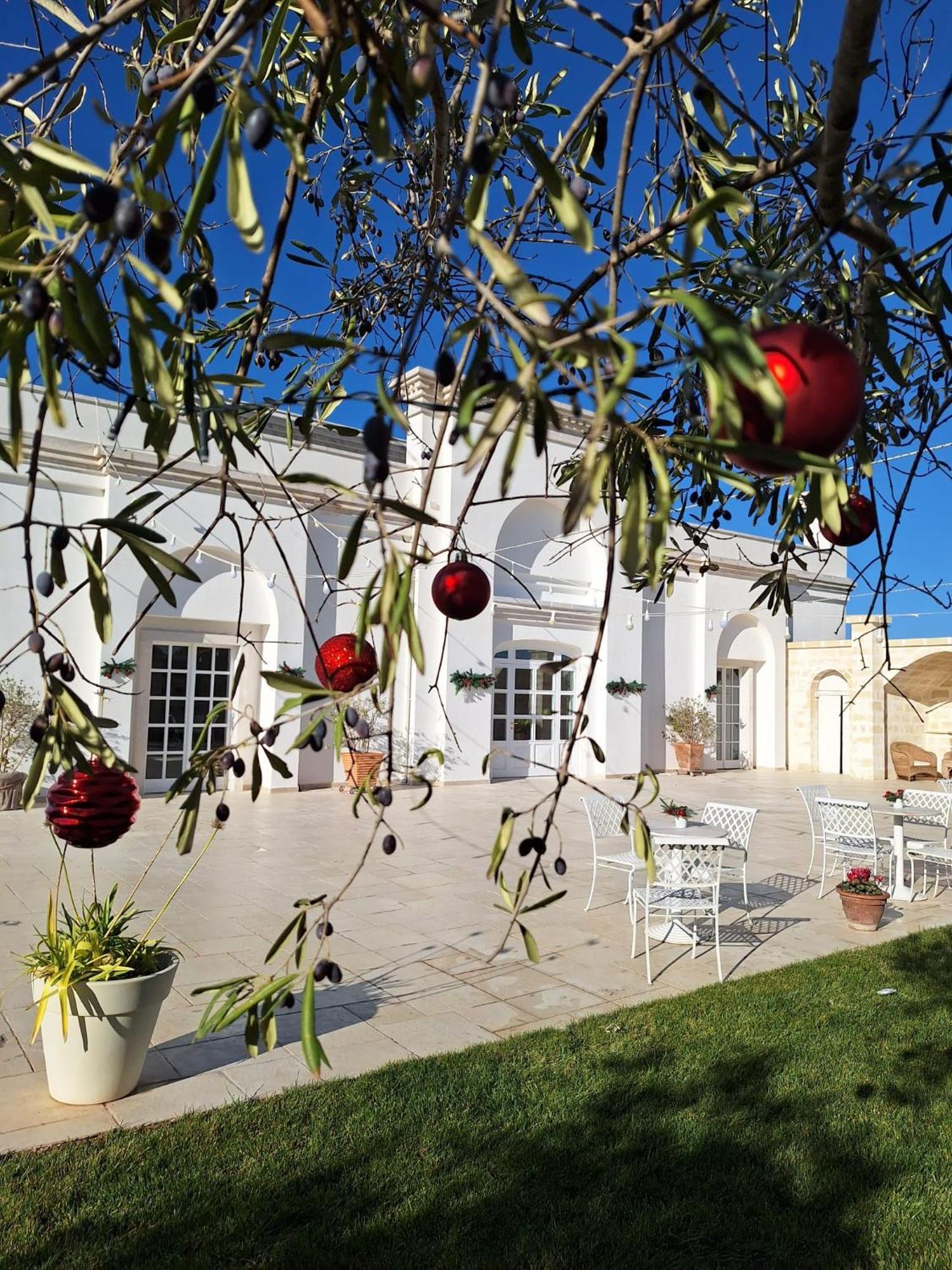 B&B Le Torri Santeramo in Colle Ngoại thất bức ảnh